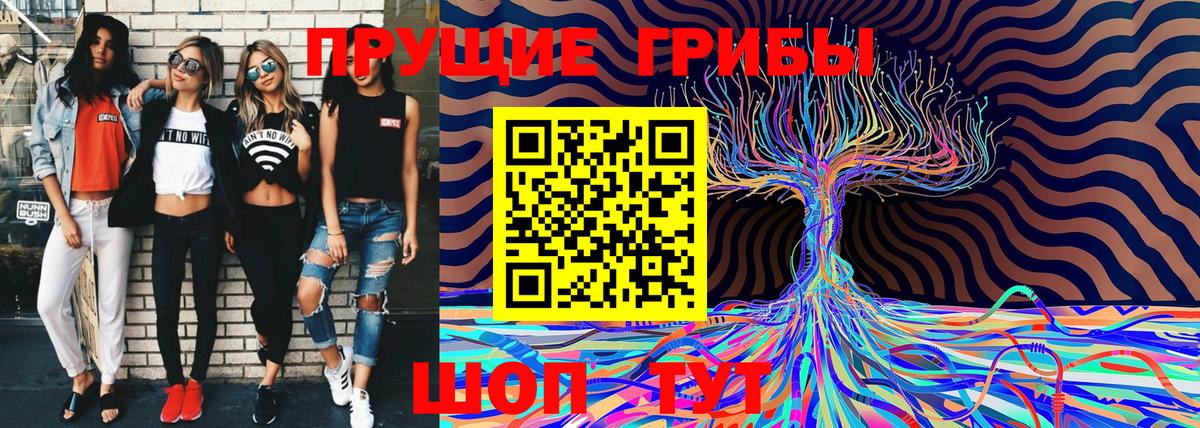 Псилоцибиновые грибы GOLDEN TEACHER Усолье-Сибирское